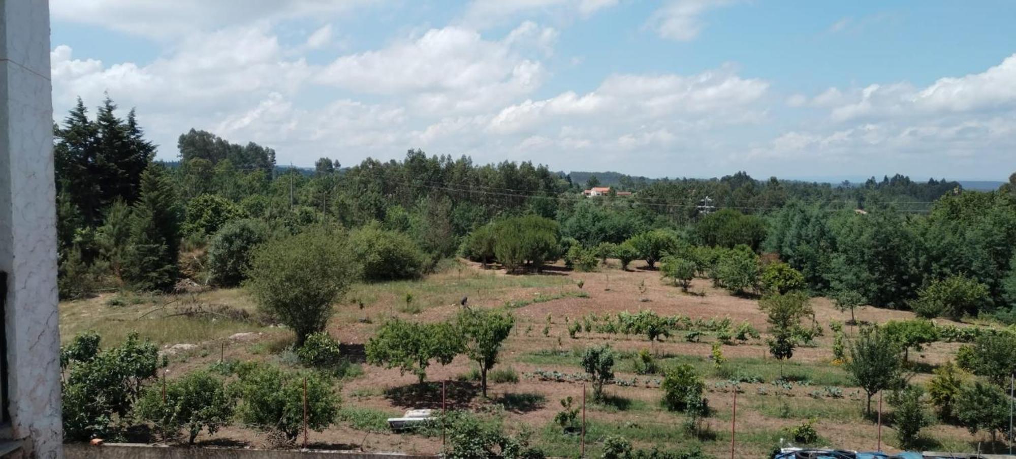 Majo Alojamento Local Bed & Breakfast Tabua  Bilik gambar